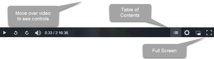 Explaining the video player controls